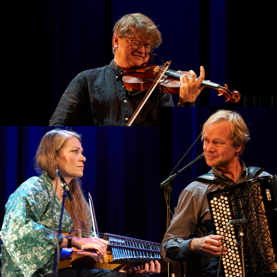 HALTLI / VÅRDAL / AMPER