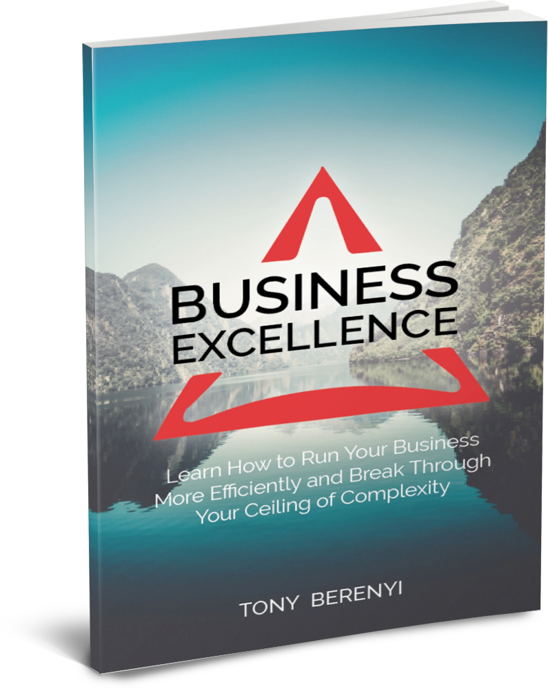 Business Excellence by Tony Berenyi