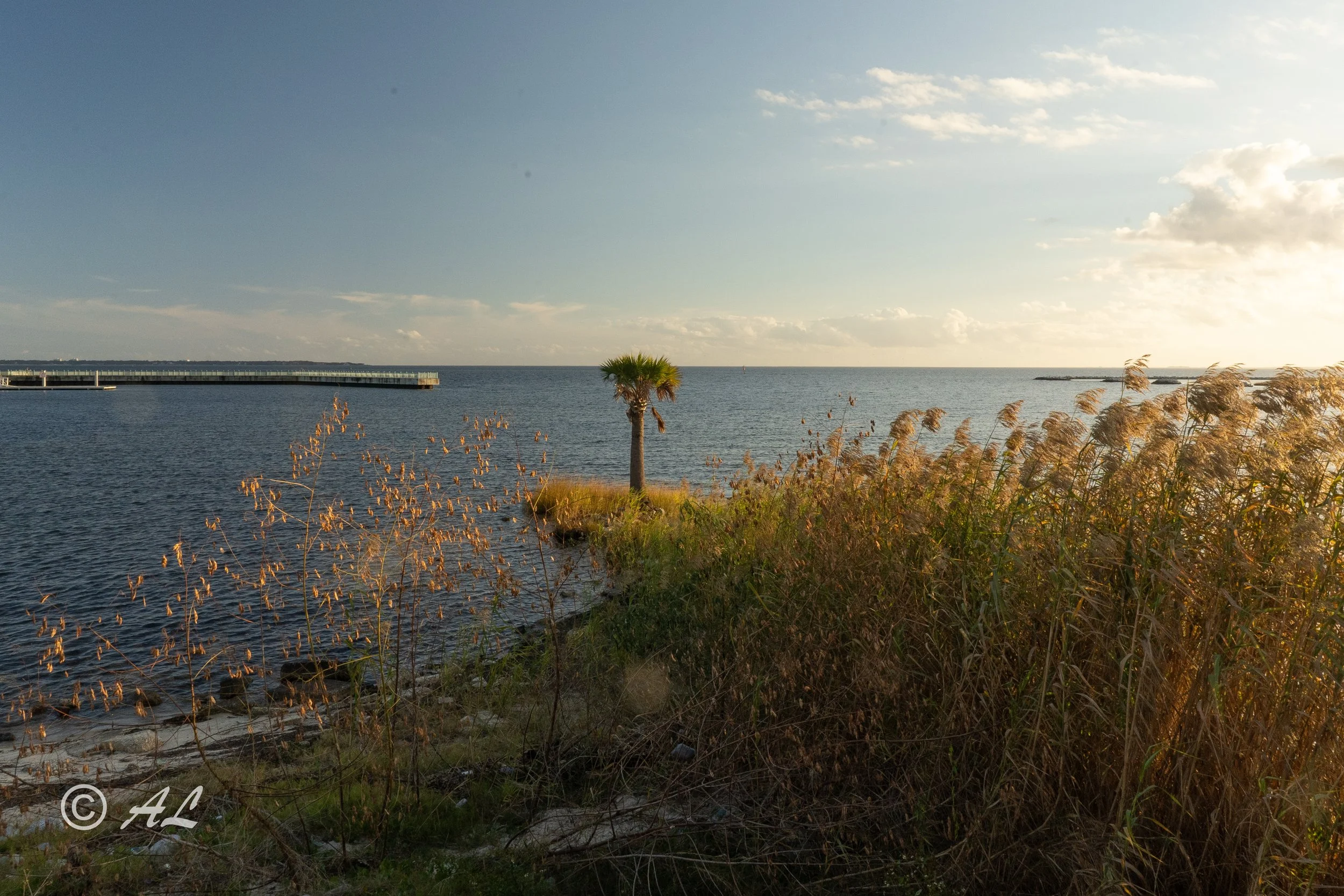 DSC06637.JPG