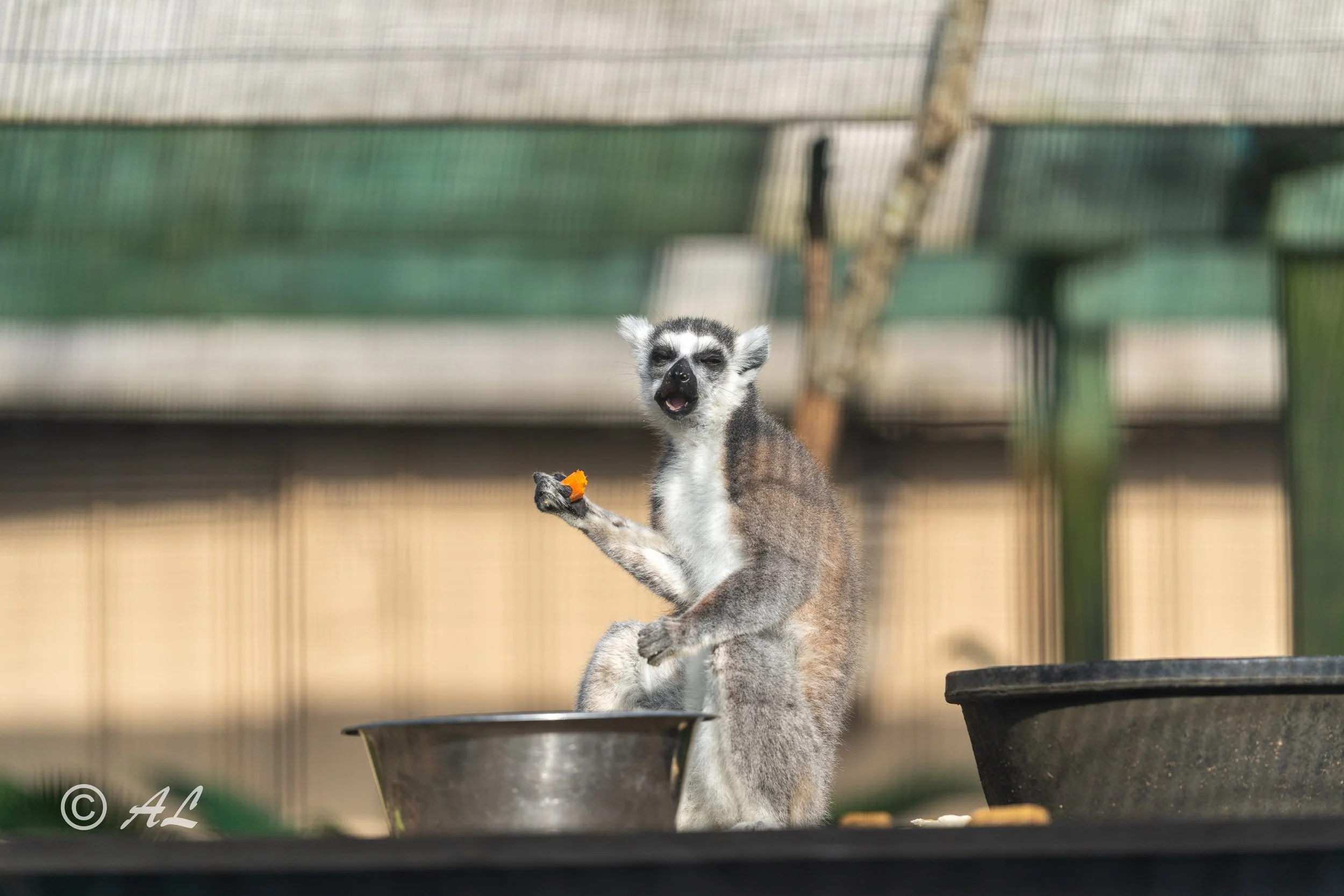 DSC07113-HDR.JPG