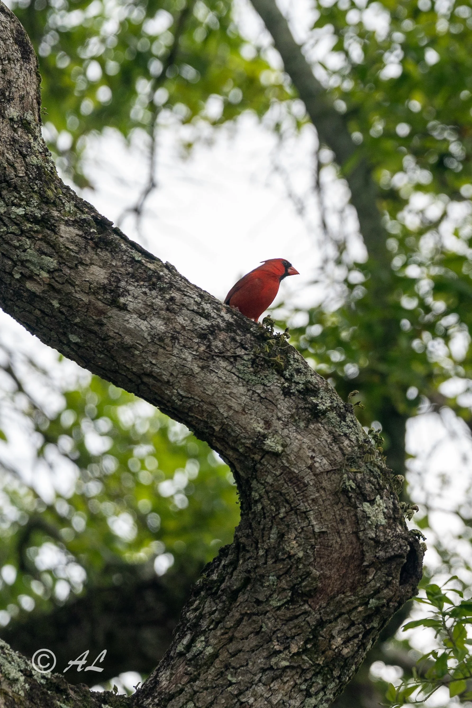 DSC09496-HDR.JPG