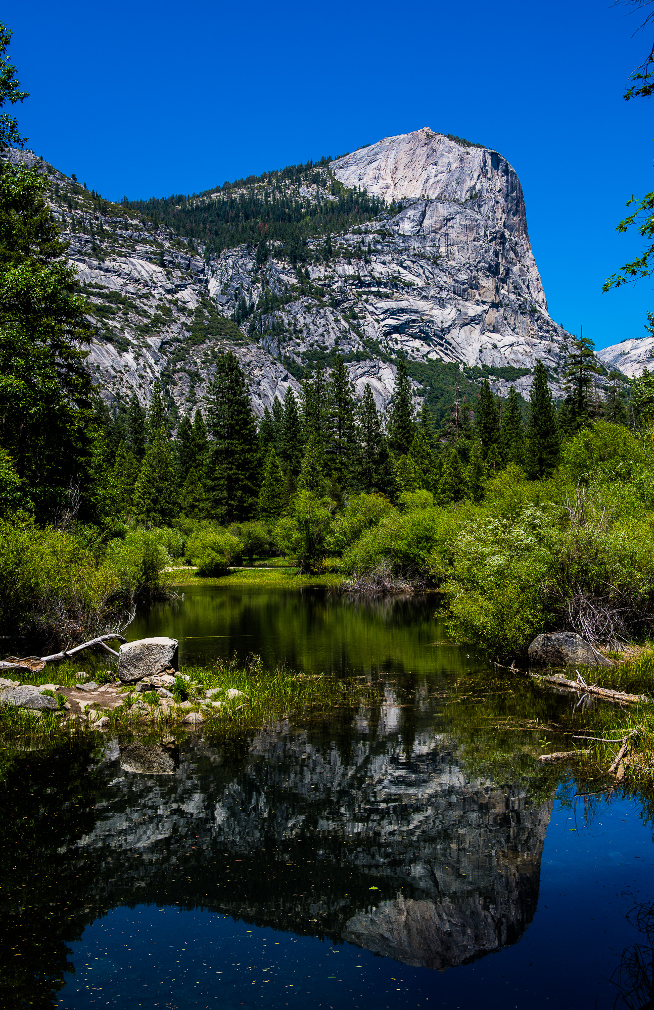 Landscape_Mediate-8.jpg