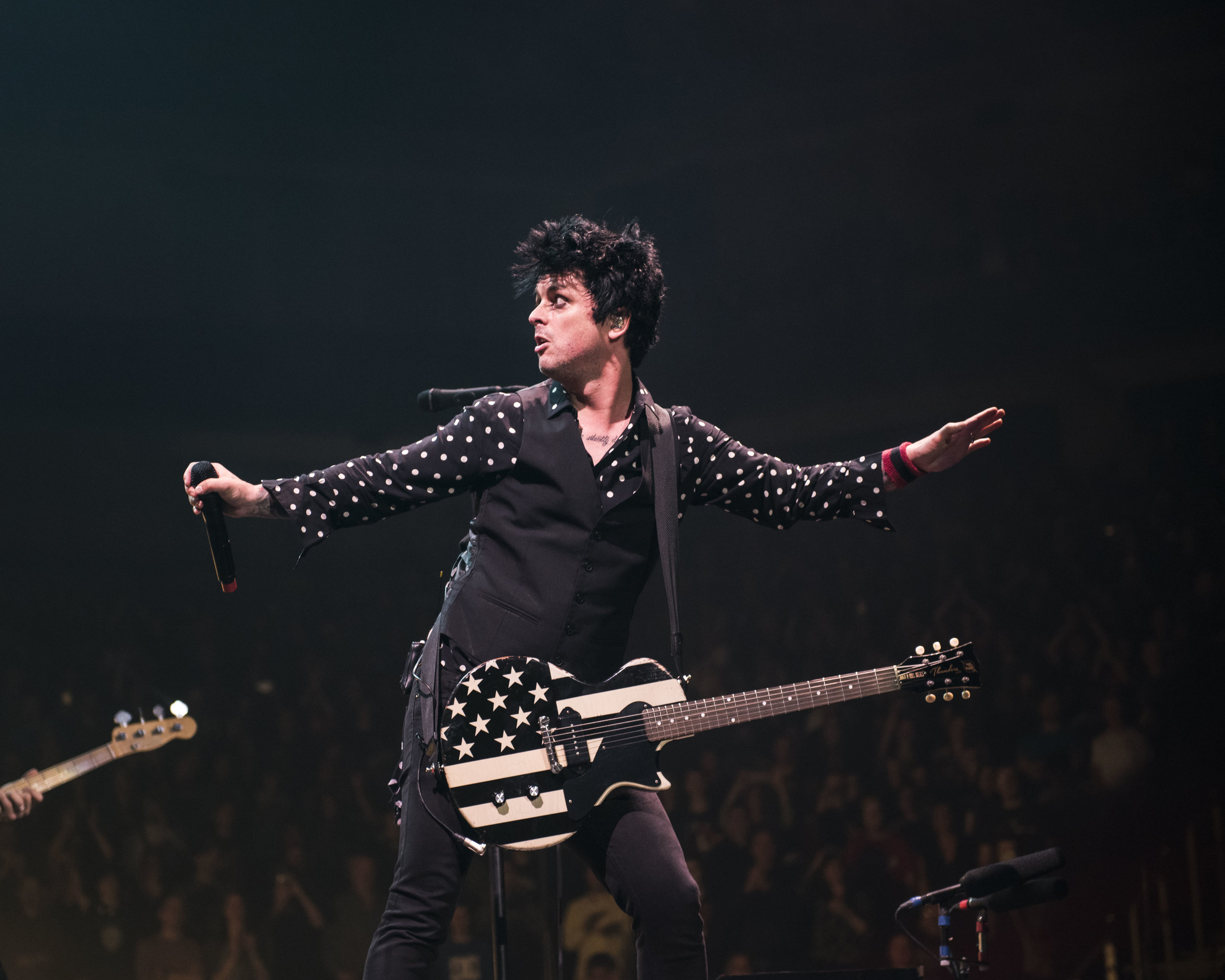 GreenDay_2017_0031.jpg