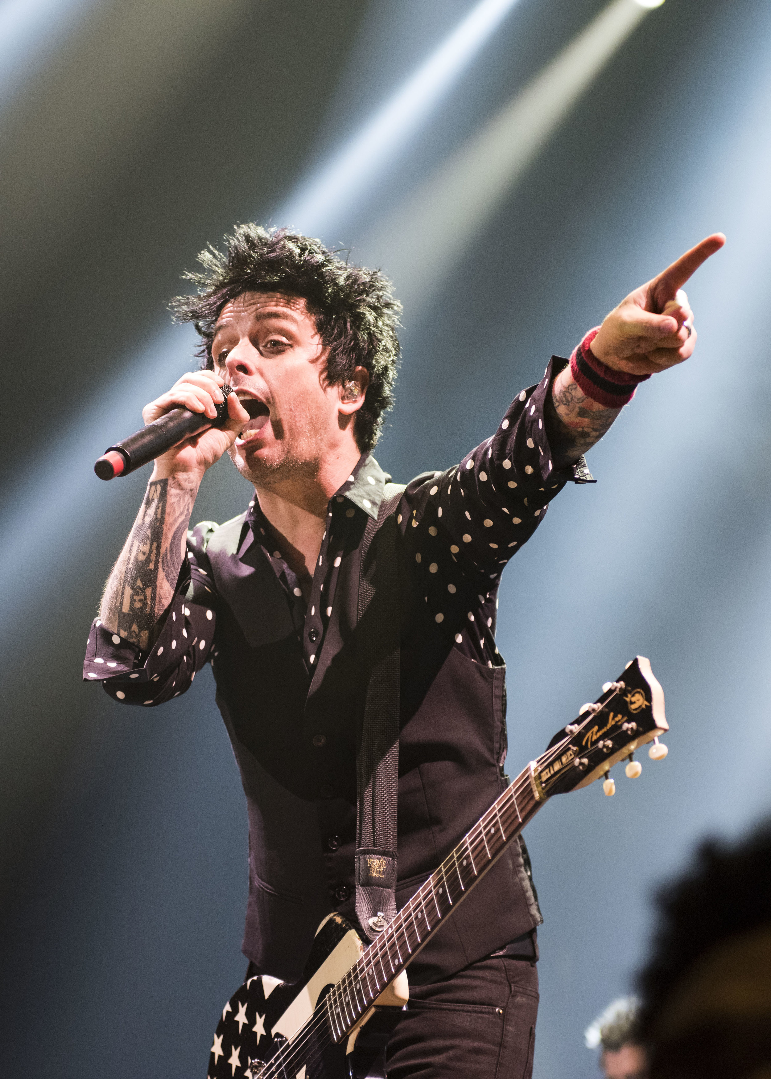 GreenDay_2017_0015.jpg