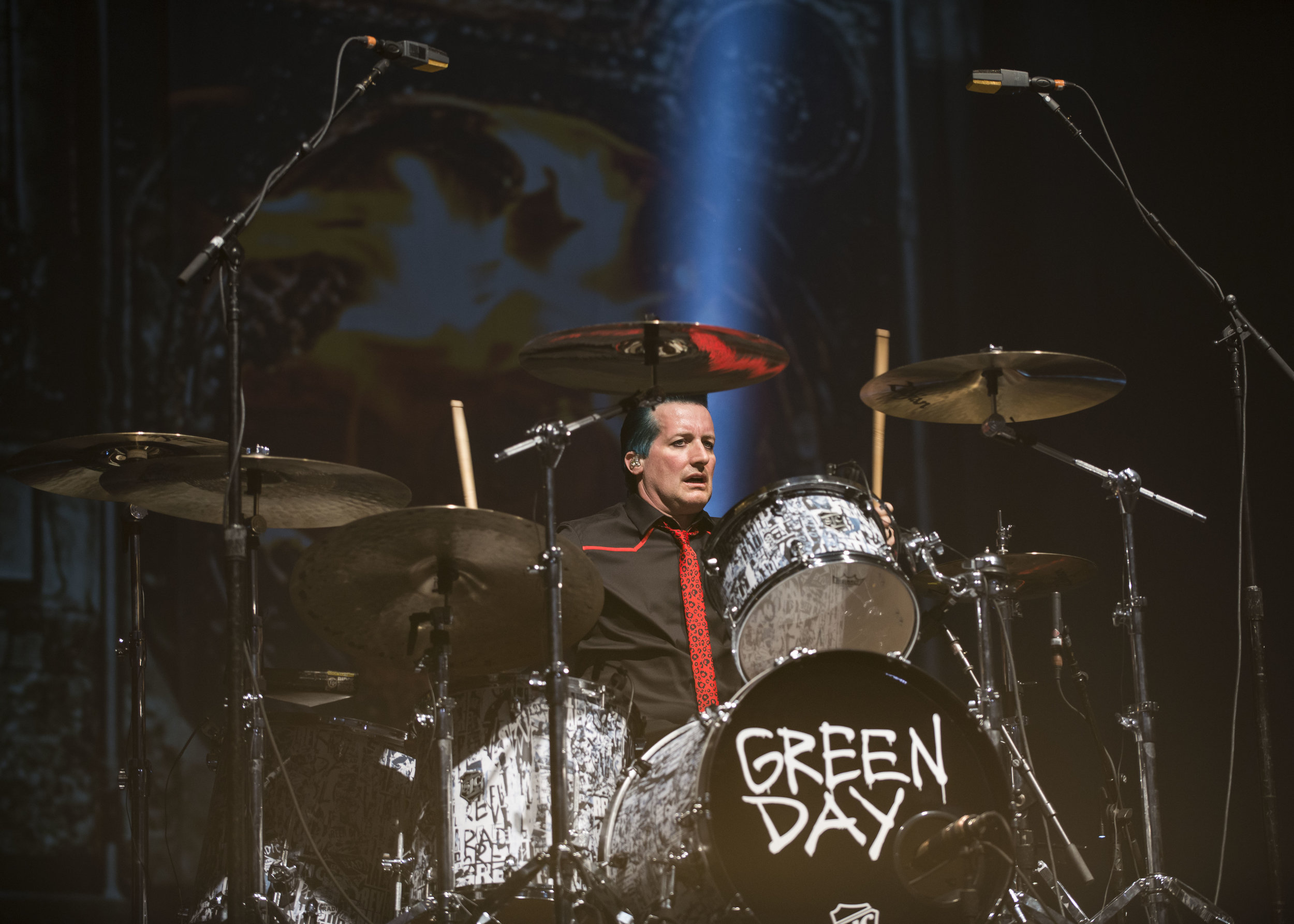 GreenDay_2017_0008.jpg