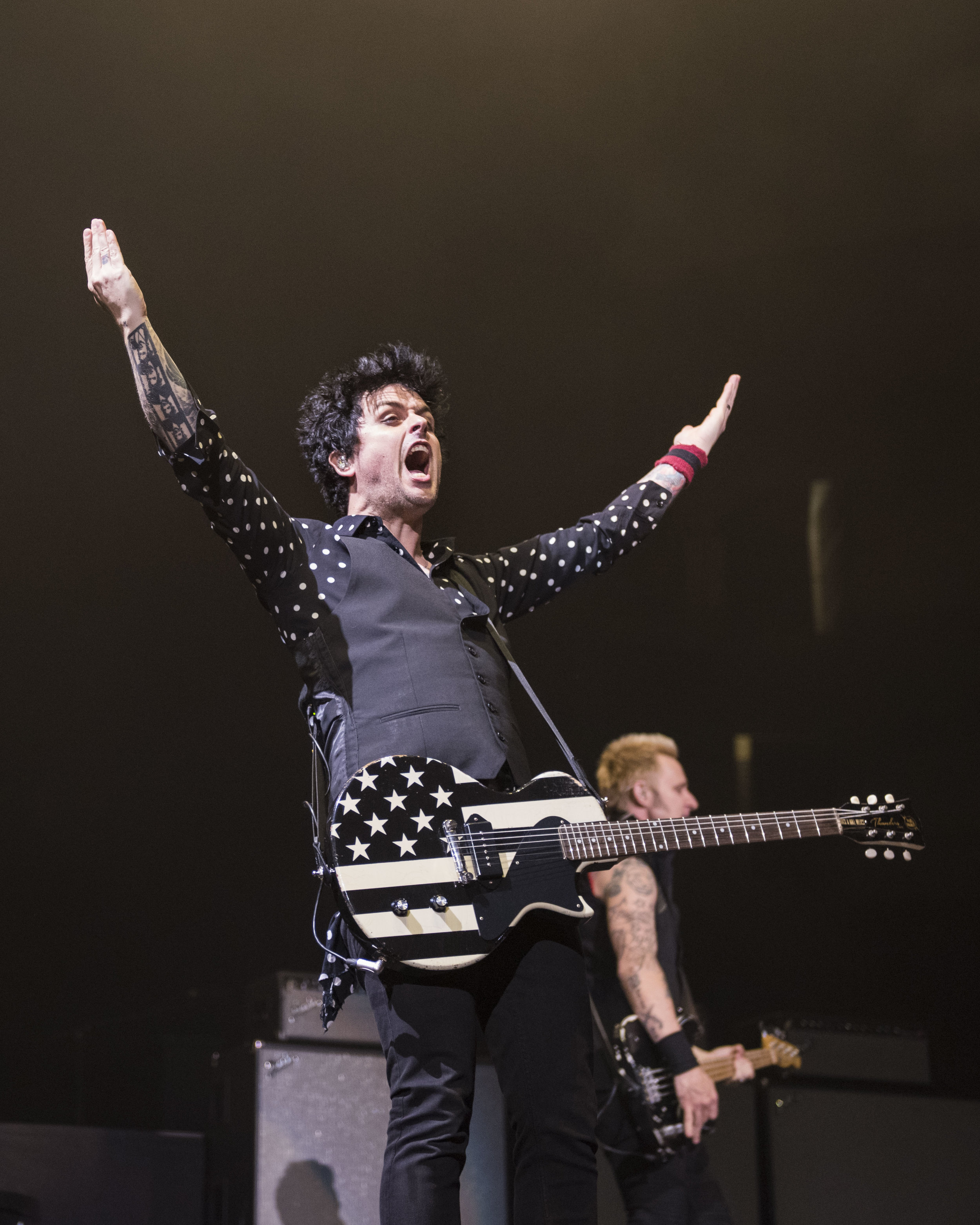 GreenDay_2017_0013.jpg