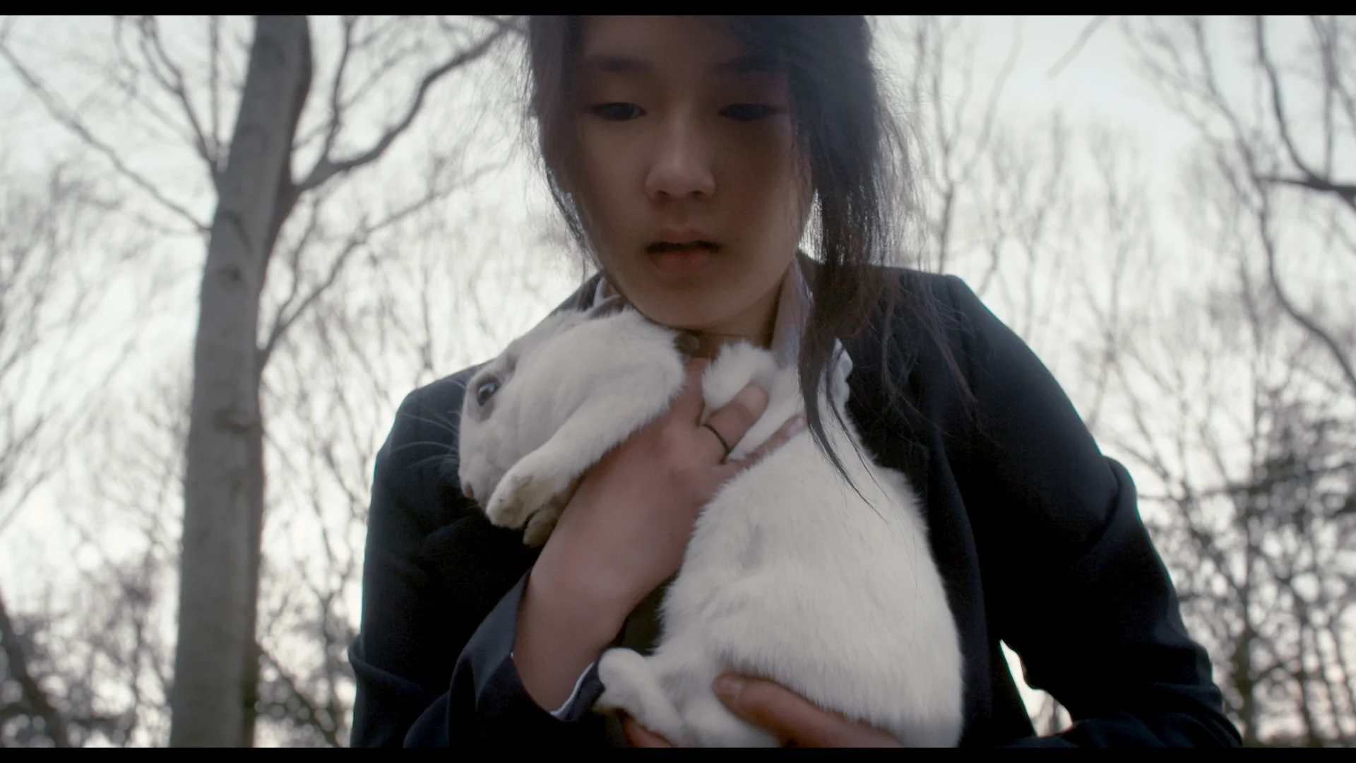 WhiteRabbit_Still_3.jpg