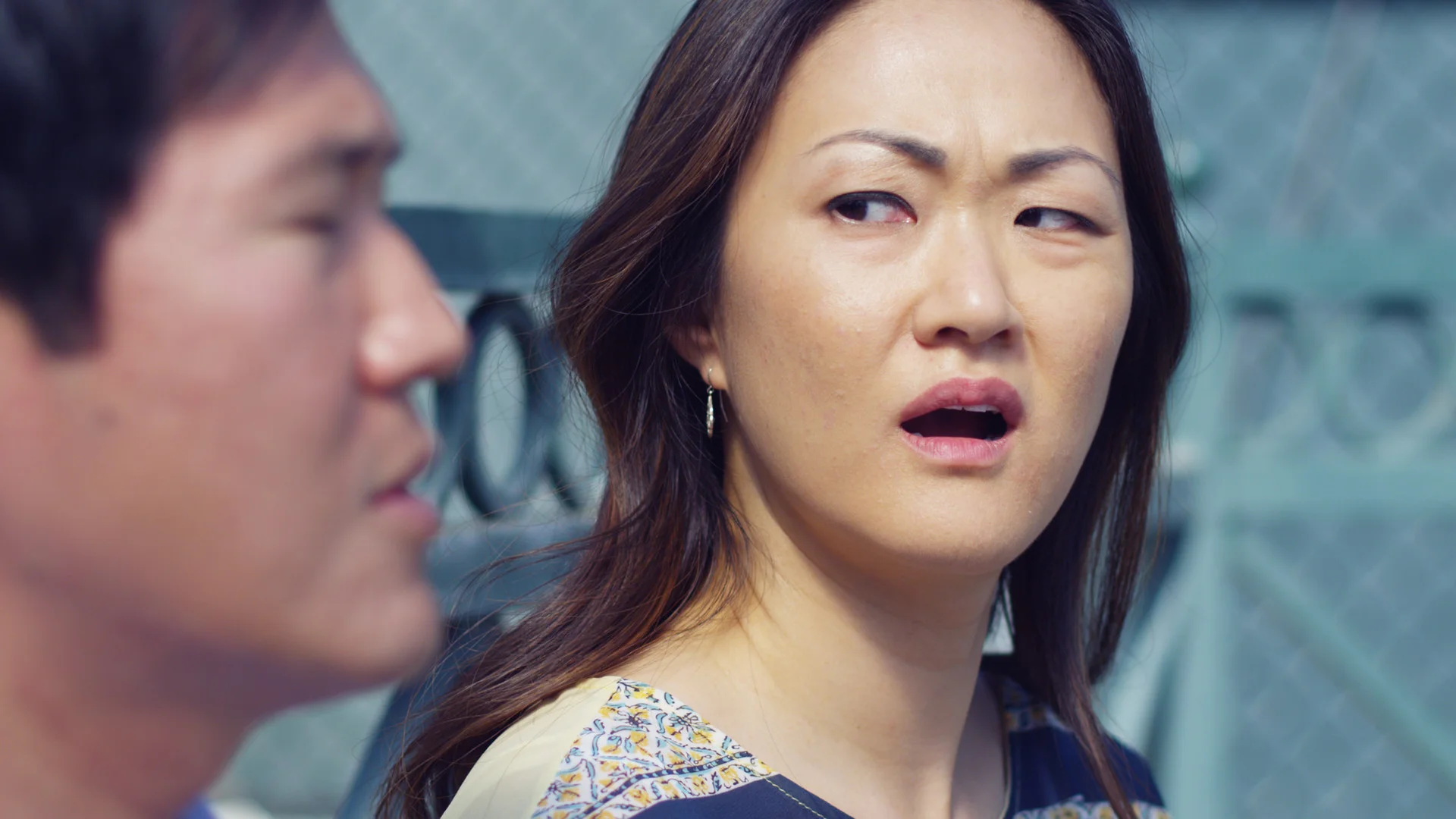Photo 1 FAULT_still_1.jpg