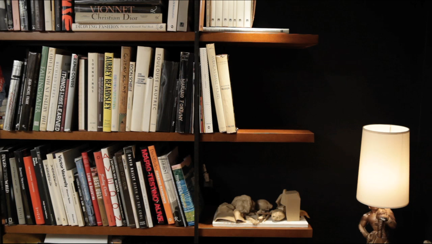 Shelves, steel and masonite, 2010.