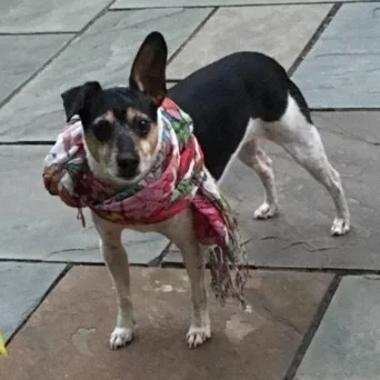 Thometimeth I wear my Momth outfiths