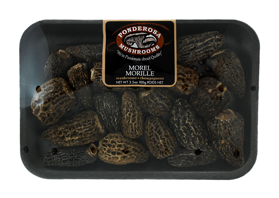 morel100.png