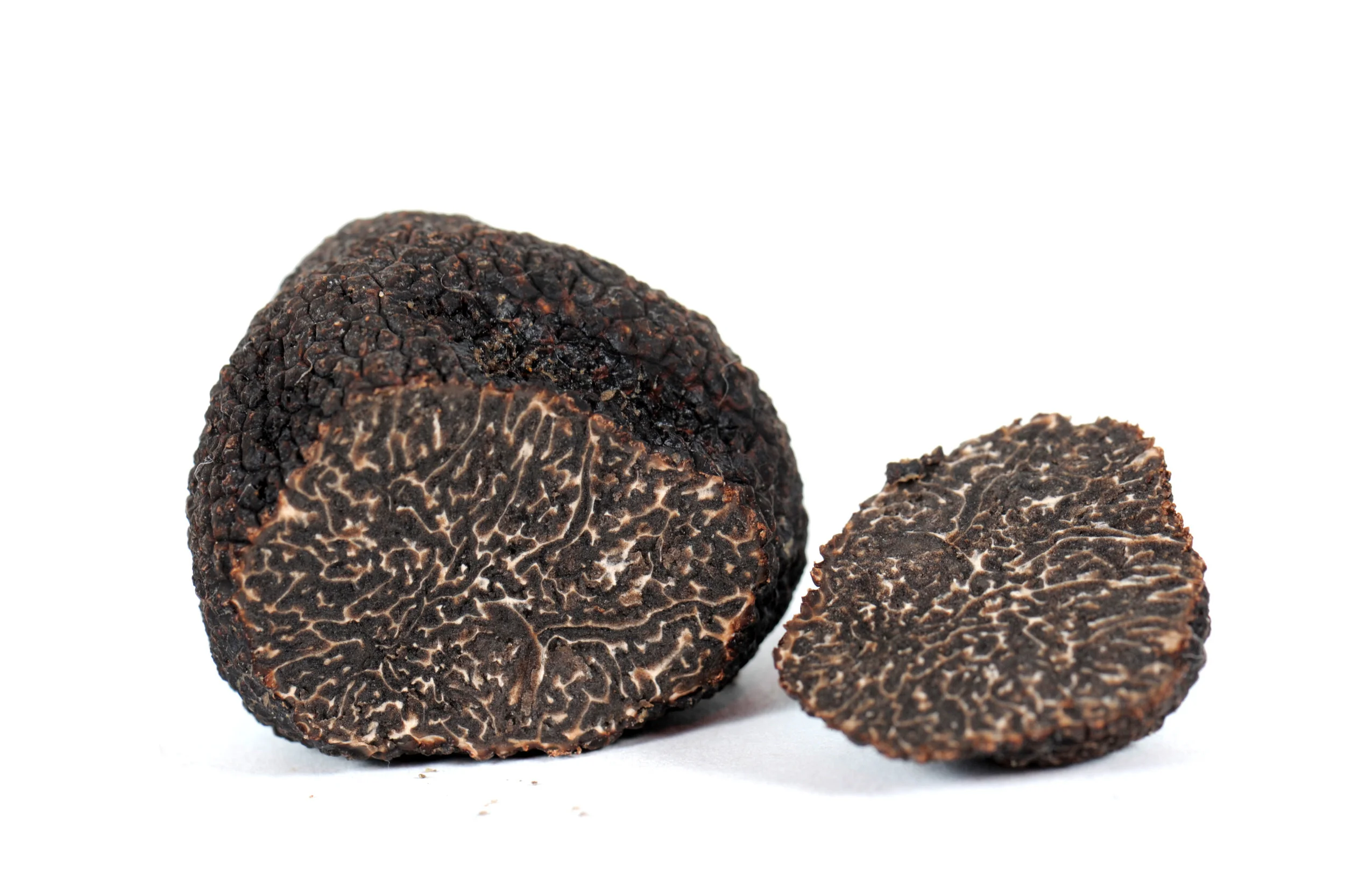 Black Winter Truffle