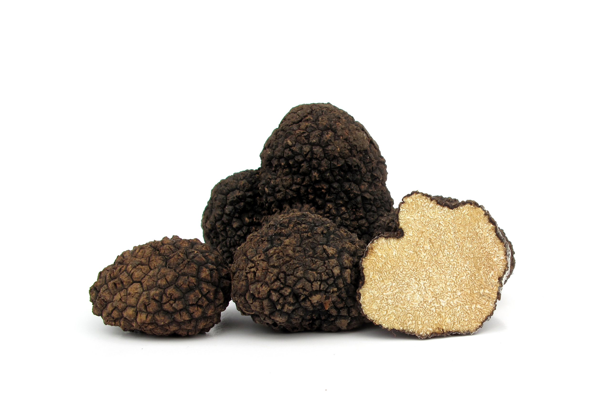 Black Summer Truffle — Ponderosa Mushrooms & Specialty Foods