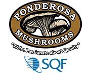 logo1.jpg