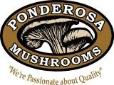 Small Ponderosa curved1.jpg
