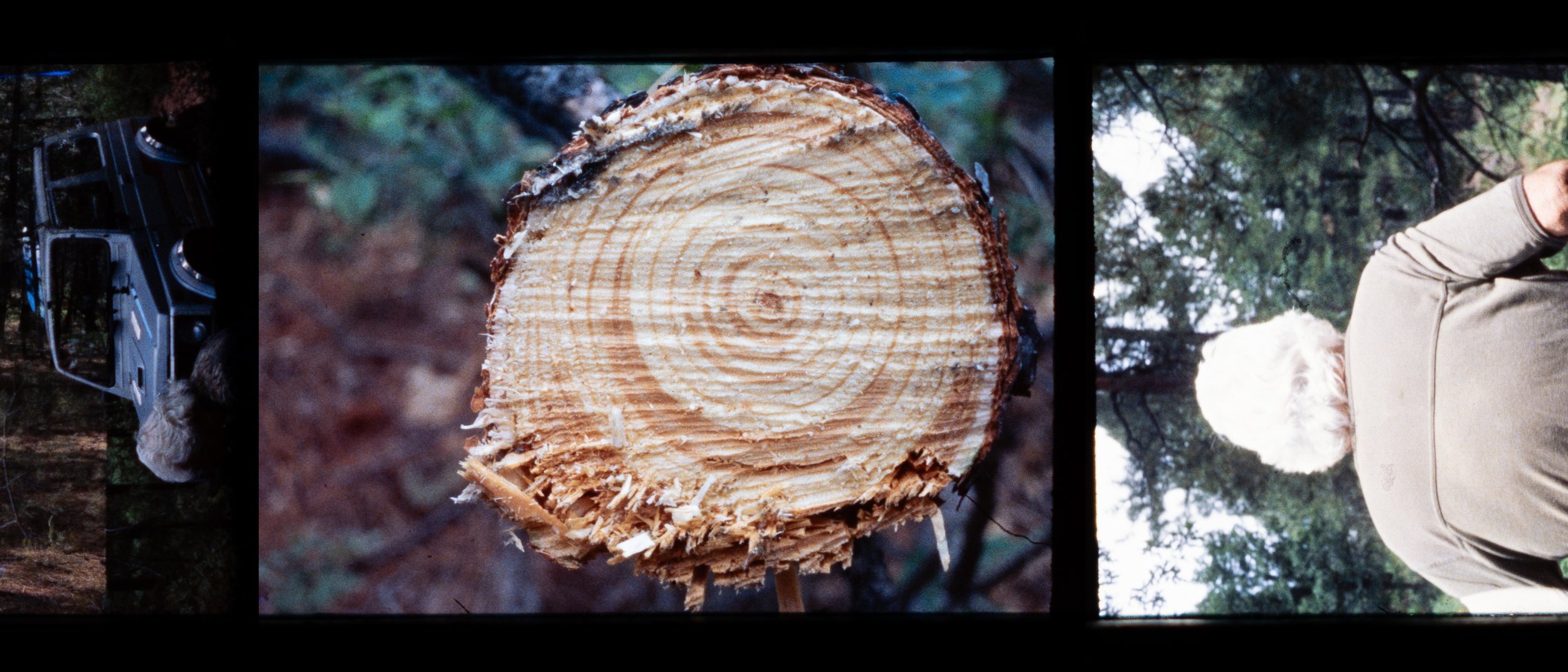 minox-tedscroll-8-test.jpg