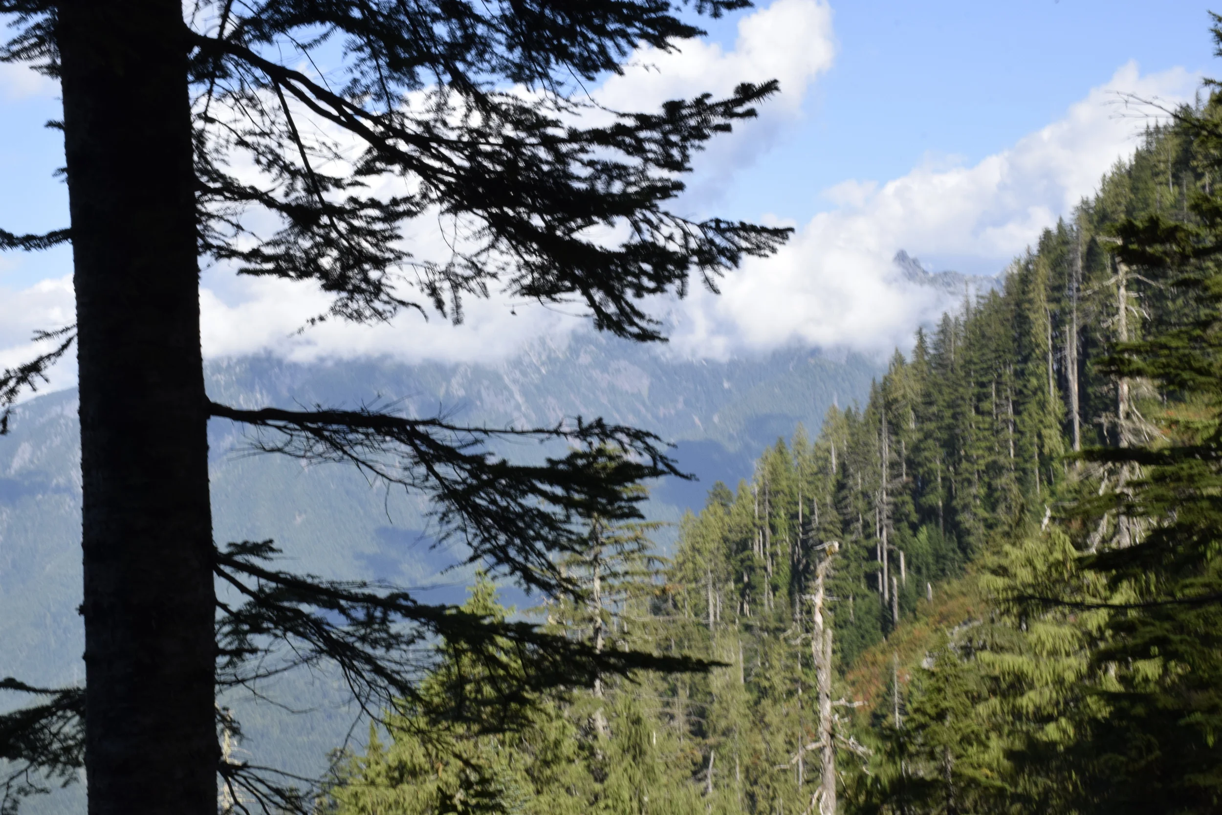 Sky over Lake Serene hike