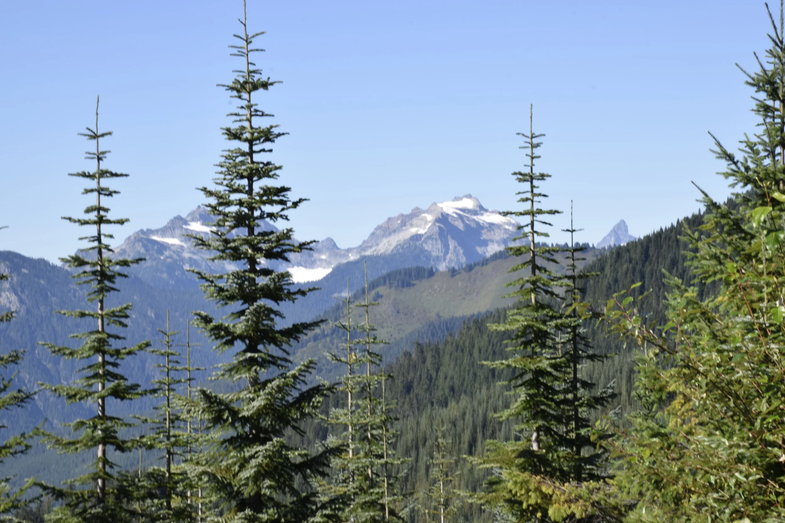  The view from the beginning of our Evergreen Mountain hike. (Photo: Vidya Rao) 