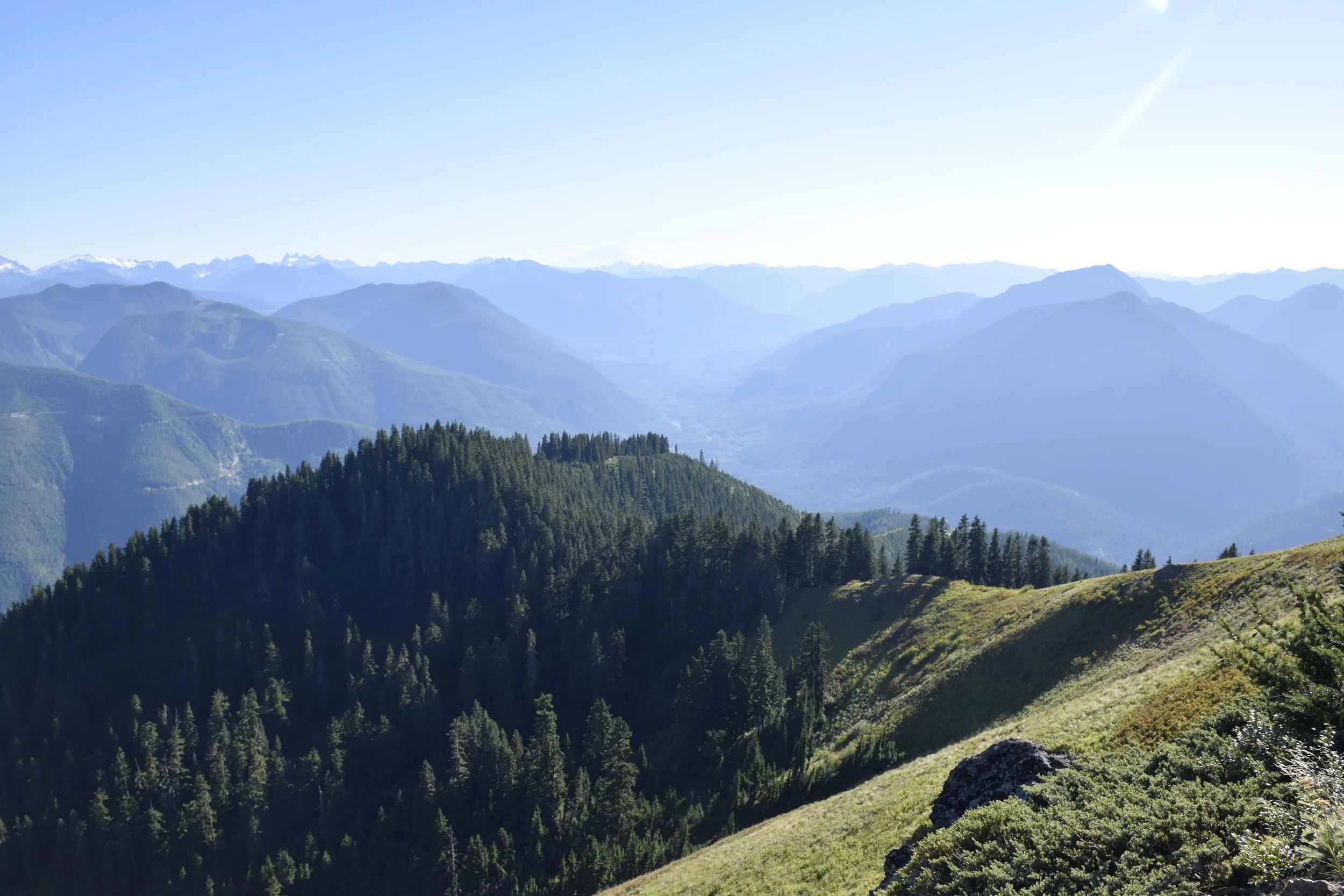  Is this a paint by number? That is the only reference I have for such a scene. 