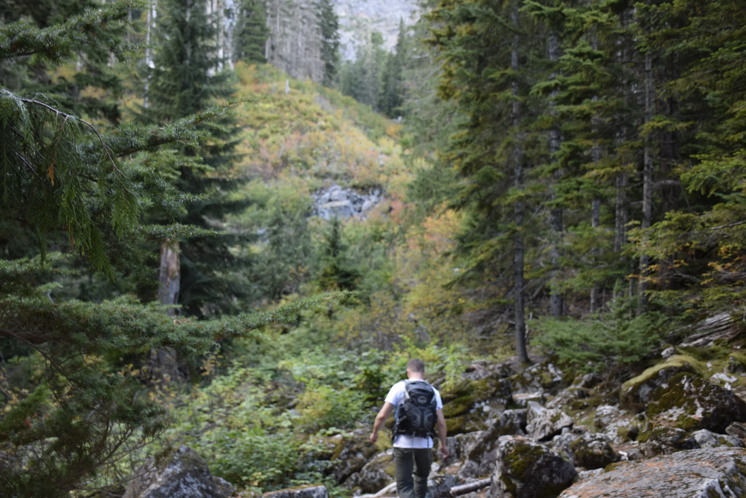  Brian only lets me take pictures when he can't see me. (Photo: Vidya Rao) 