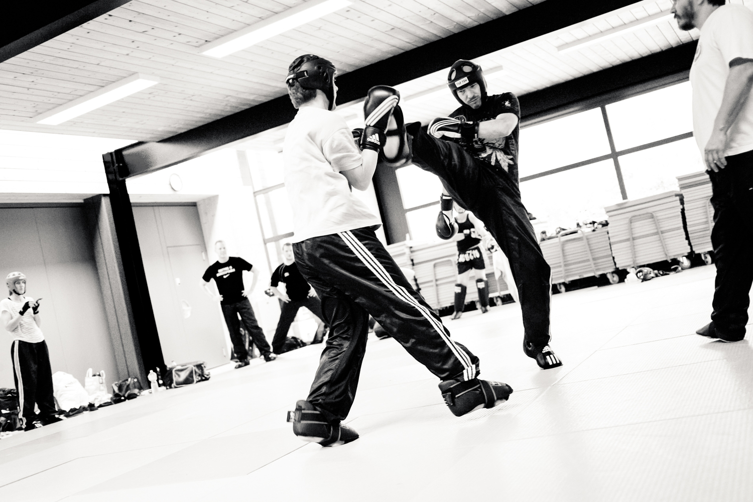 Kickboxing-Academy_Trainingslager_Juni+2015-083.jpg
