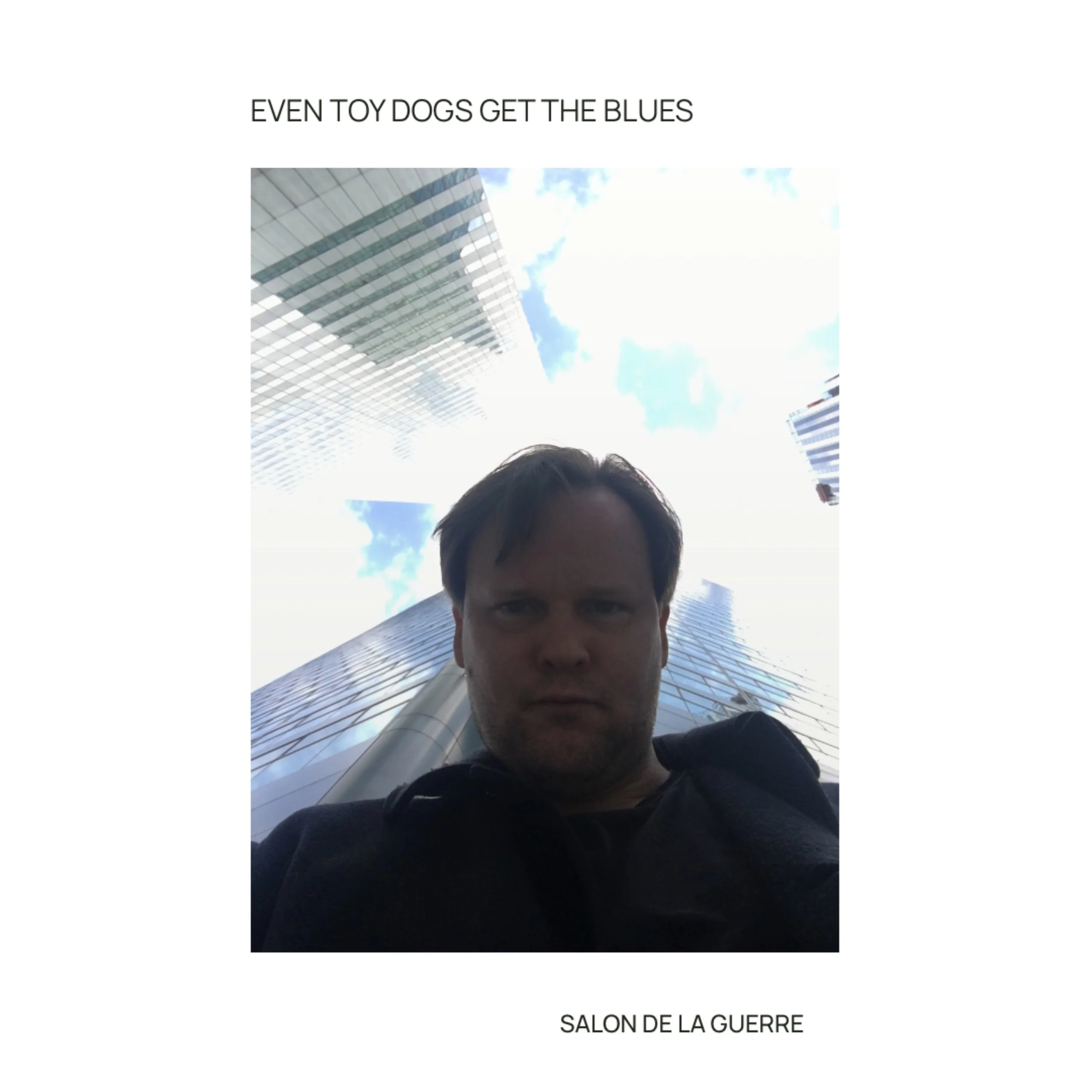 even-toy-dogs-get-the-blues-salon-de-la-guerre