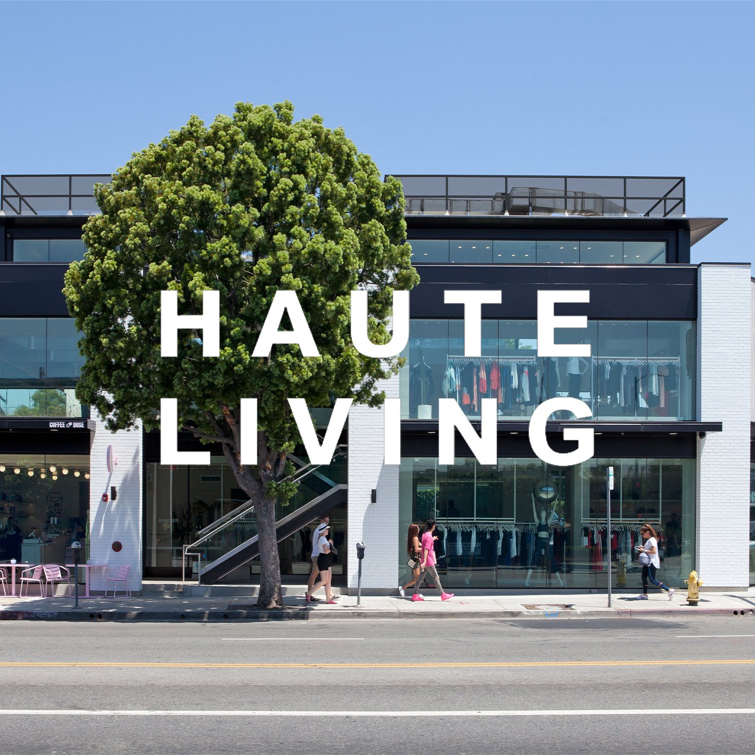 HAUTE LIVING  x  BANDIER