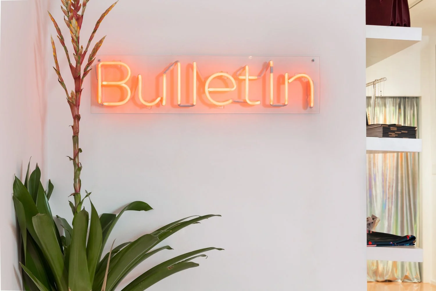 Neon sign reading 'Bulletin' on white wall next to tall green plant and shelf with items.