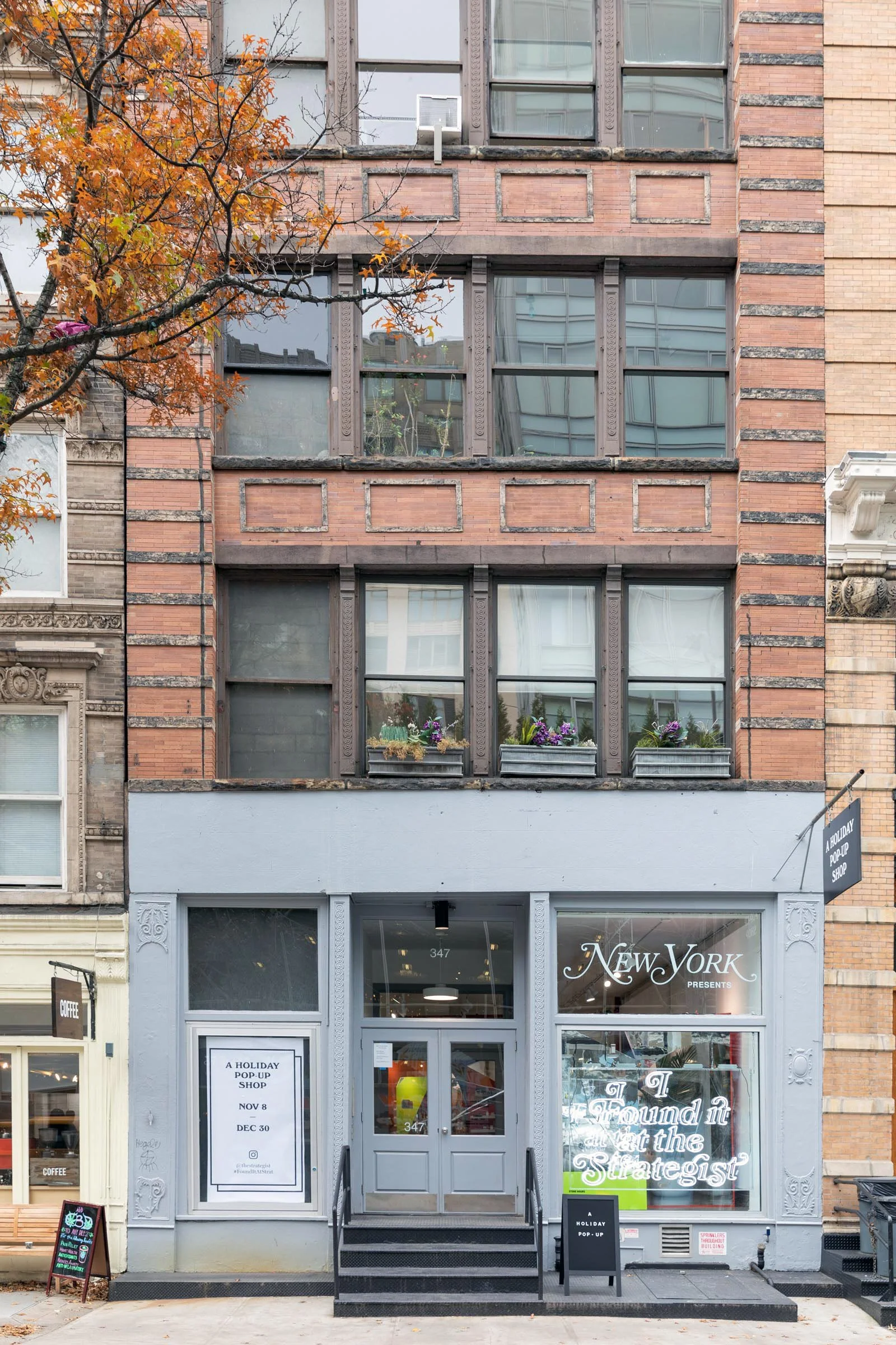 Facade of a New York pop-up shop with signage and windows, surrounded by buildings and a tree with autumn leaves.