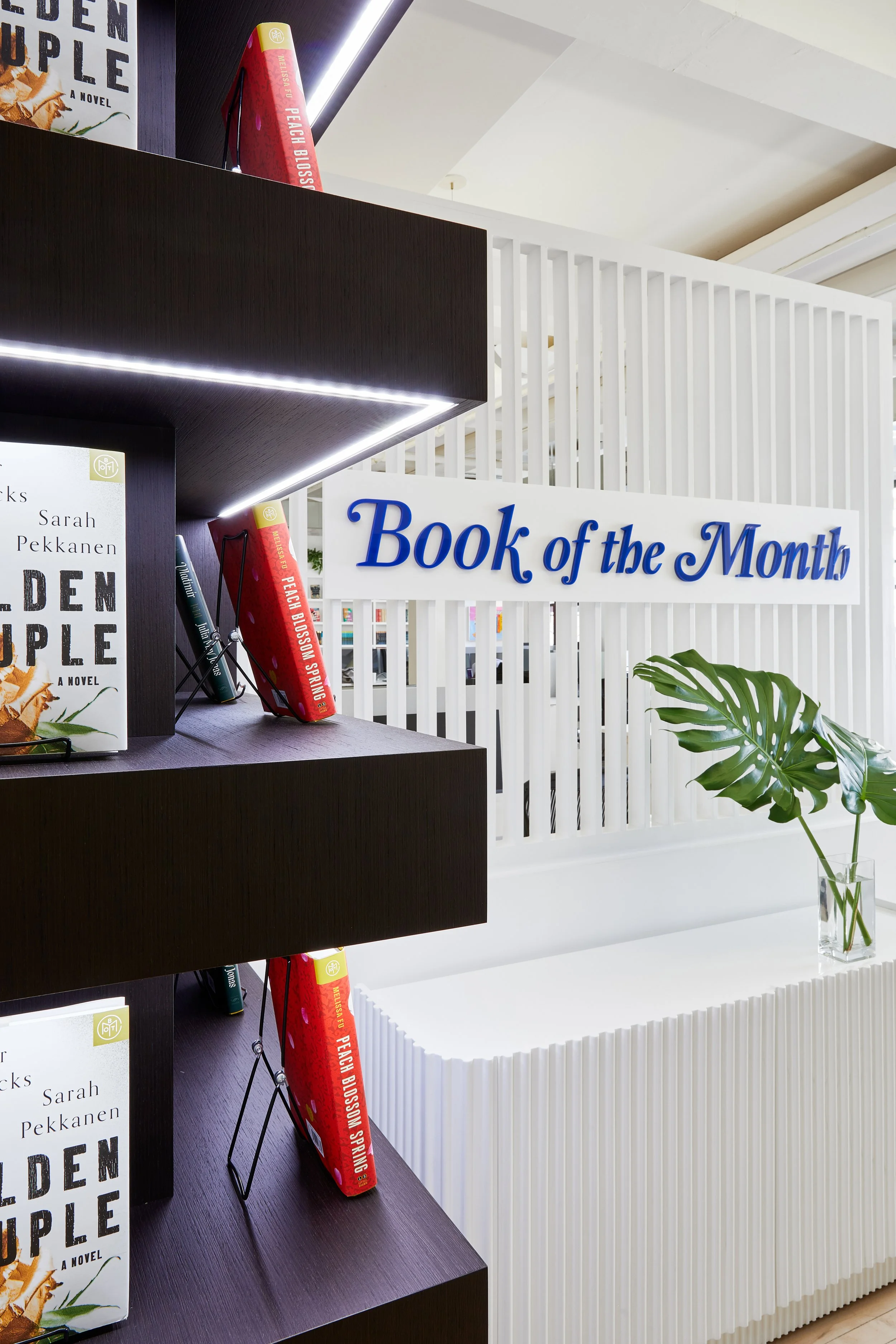 Book display featuring 'Book of the Month' sign, books on shelves, and decorative plant in a modern setting.