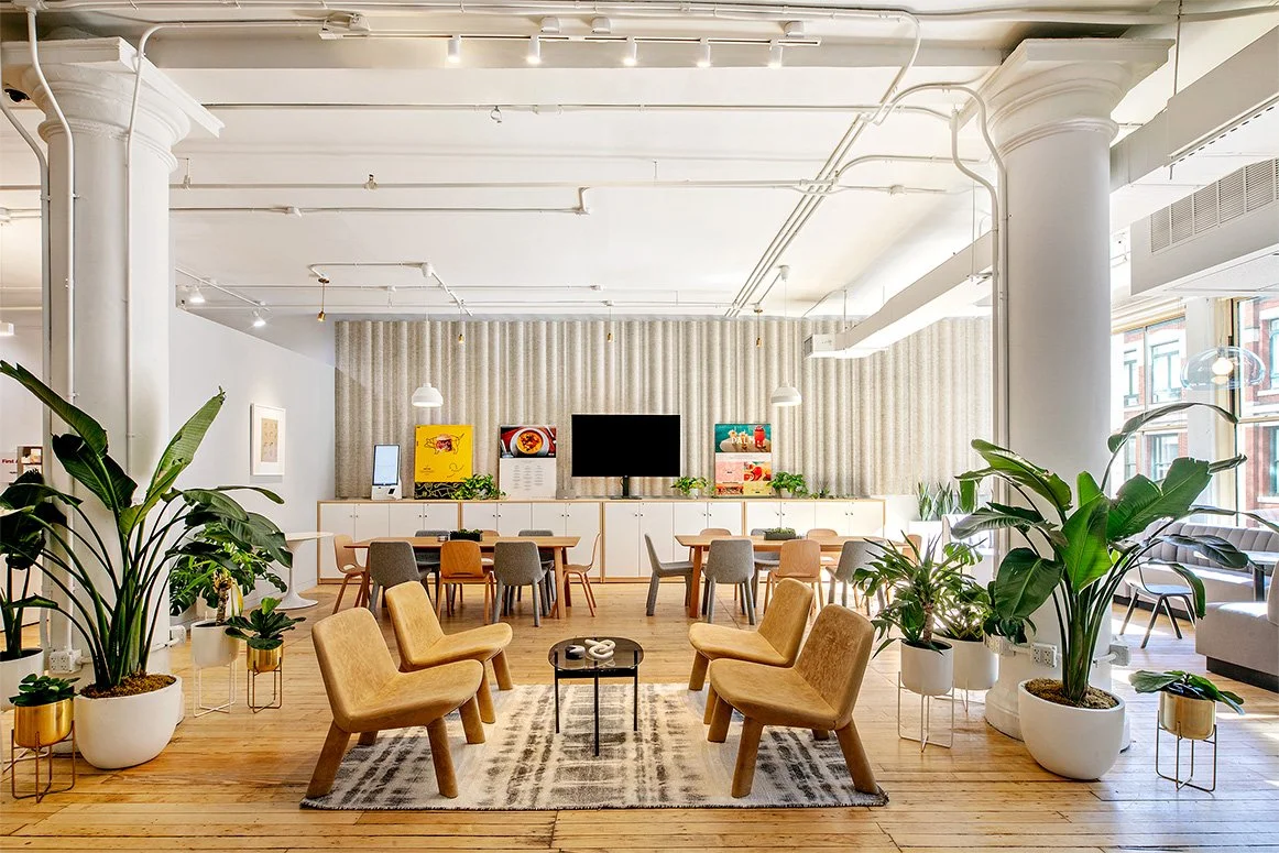 Modern co-working space with wooden chairs, tables, potted plants, and wall artwork, featuring overhead lighting and large windows.