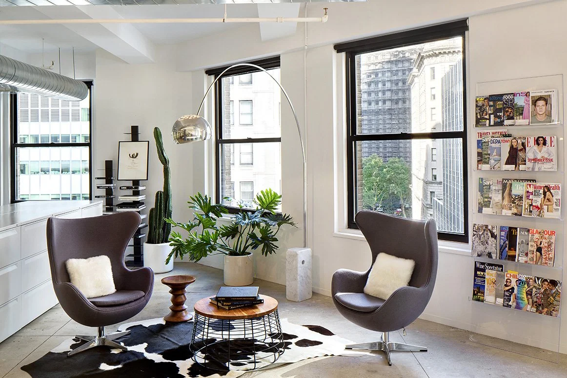 Modern office waiting area with two armchairs, a small wooden table, potted plants, a floor lamp, and a magazine rack. Large windows offer a city view.