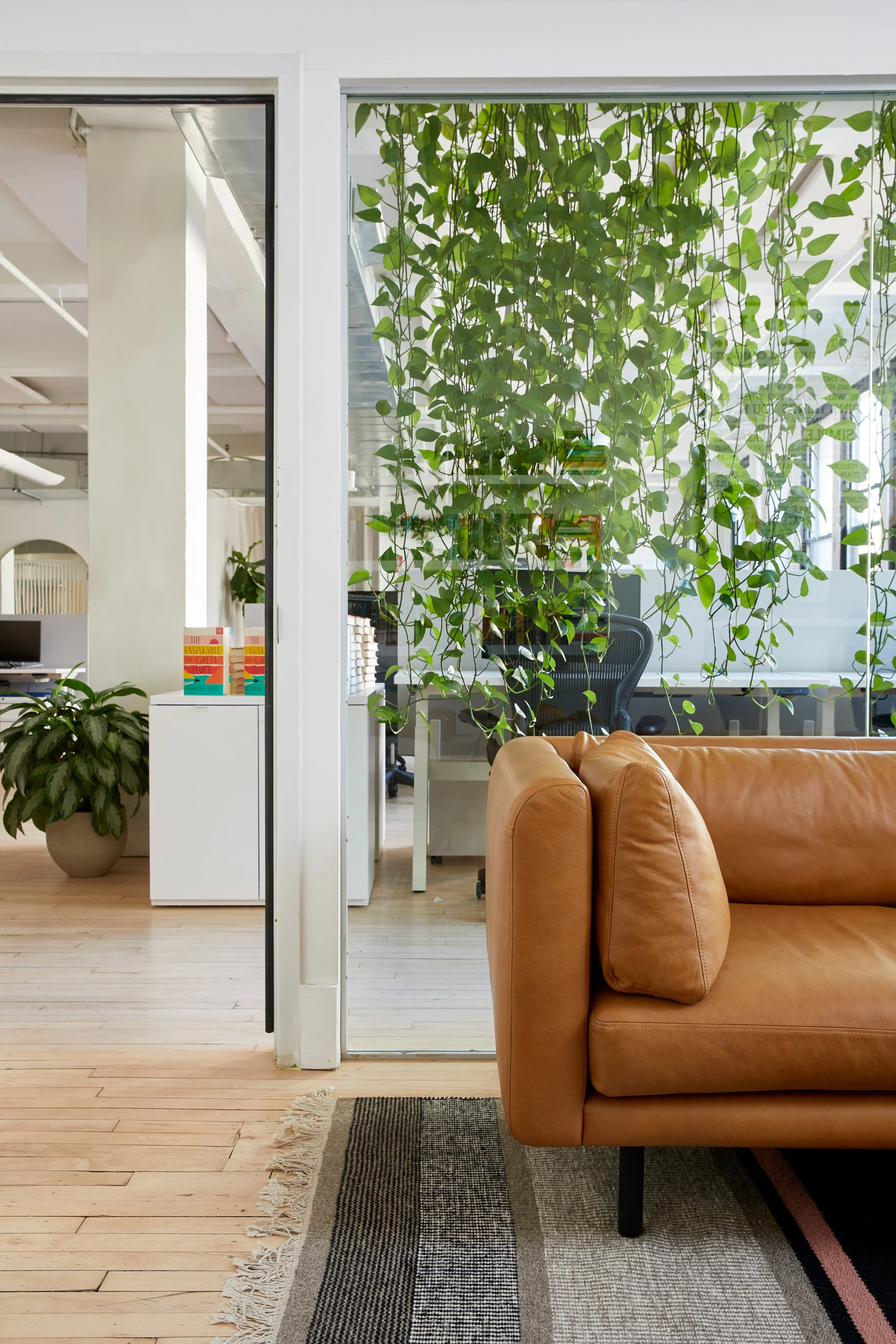Modern office space with a brown leather couch, wooden flooring, glass partition with hanging green plants, and a white cabinet with books.