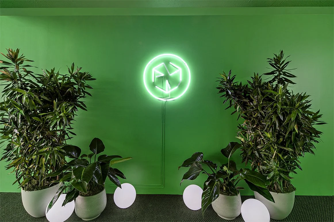 Green wall with a neon sign and potted plants