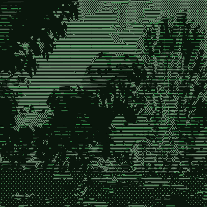 Abstract line art of trees with leaves and branches