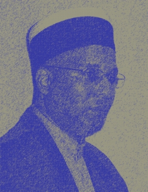 Mahmoud Andrade Ibrahim.jpeg