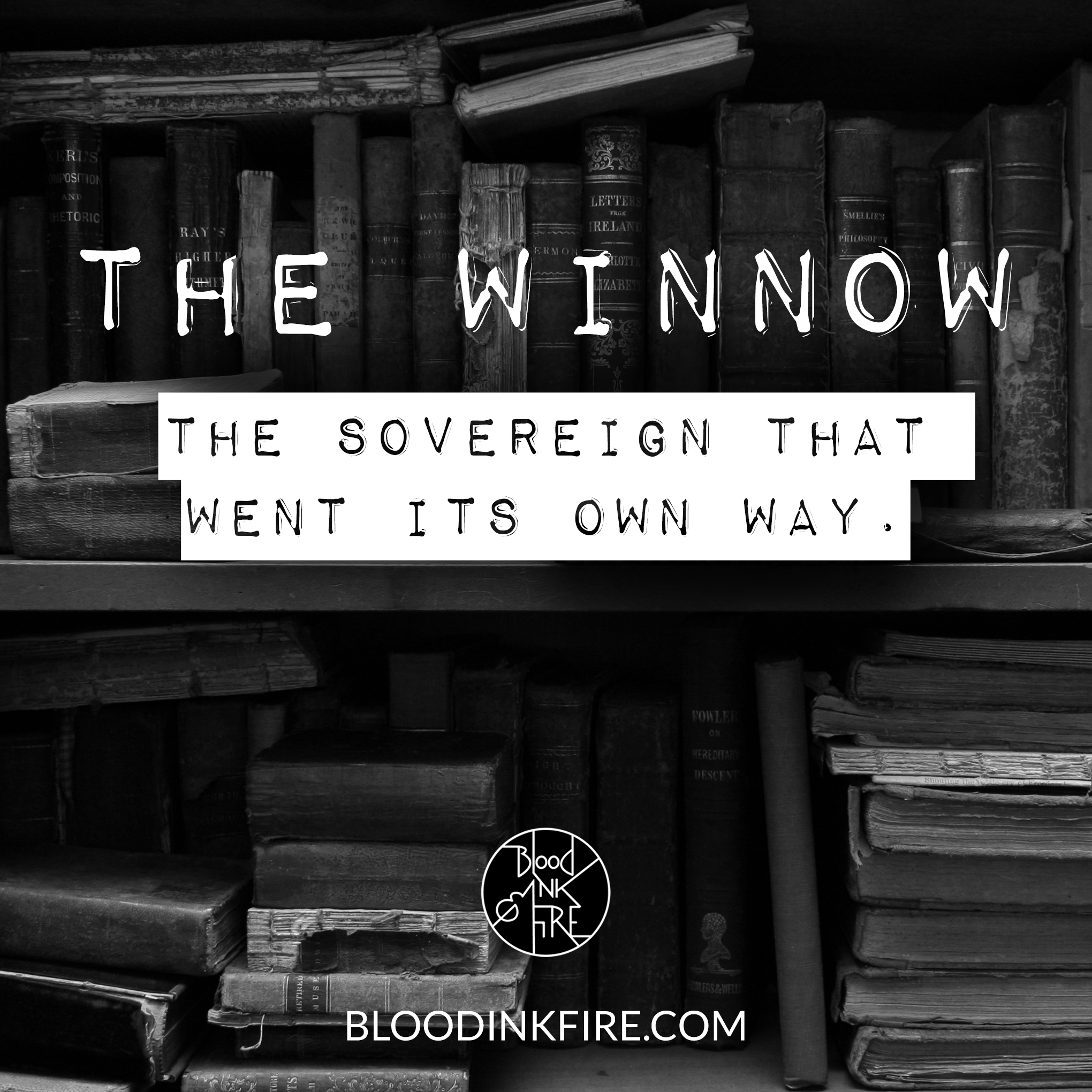winnow.png