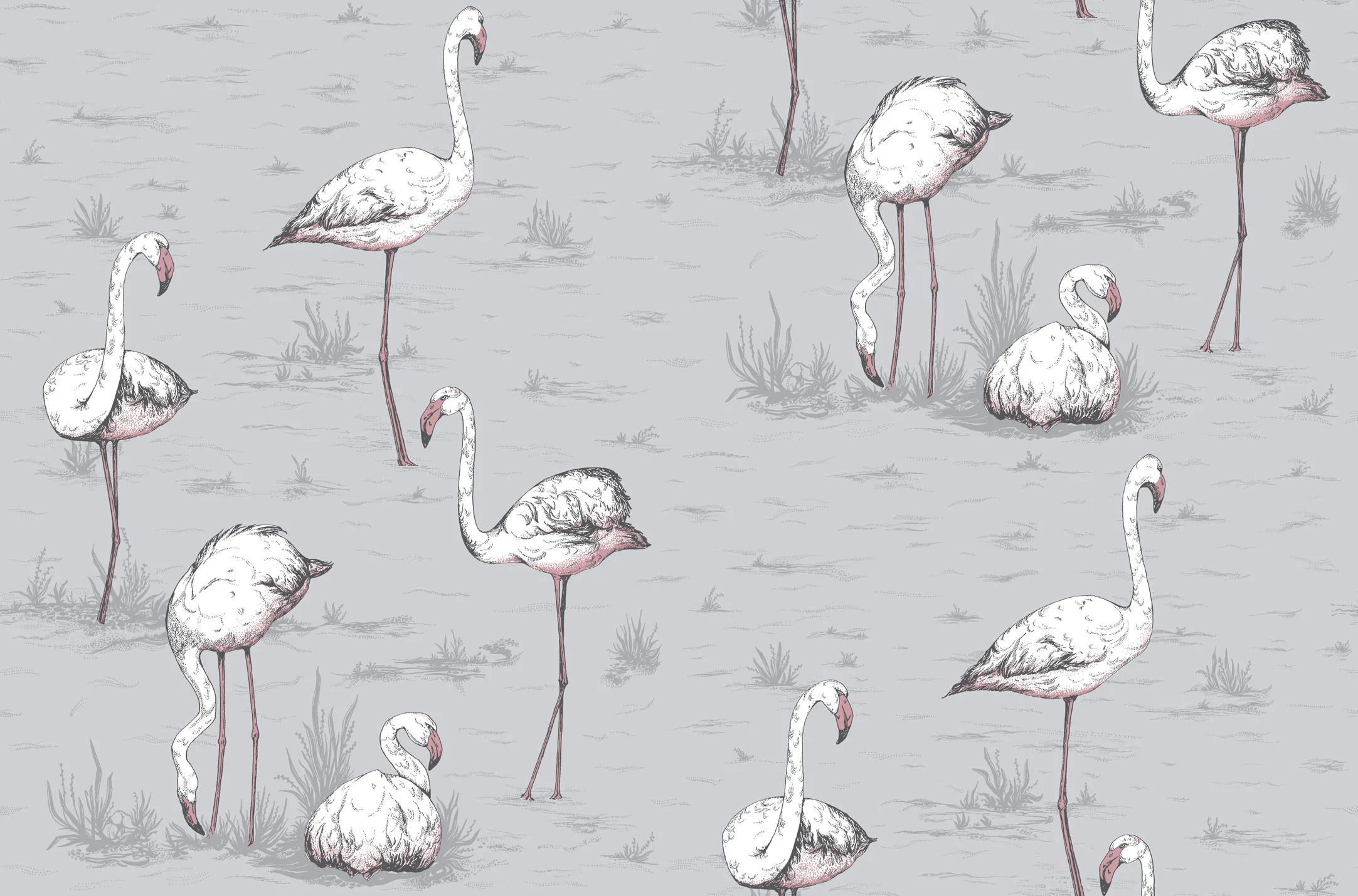112/11040 FLAMINGOS WALLPAPER