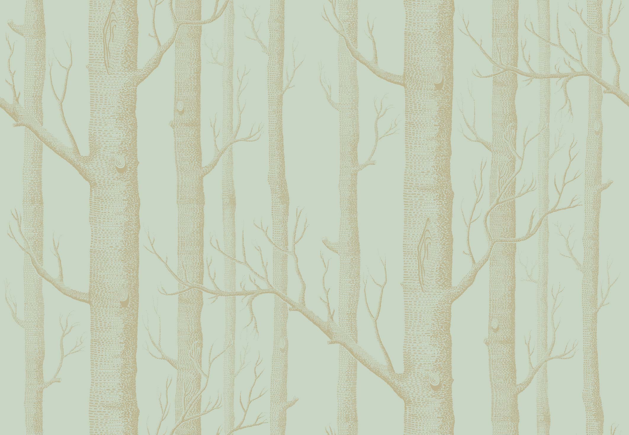 103/5023 WOODS WALLPAPER
