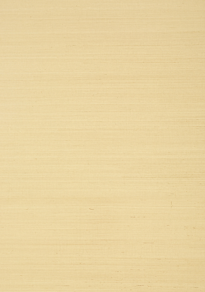 T5029 SHANG EXTRA FINE SISAL