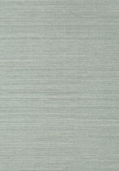 T41168 SHANG EXTRA FINE SISAL