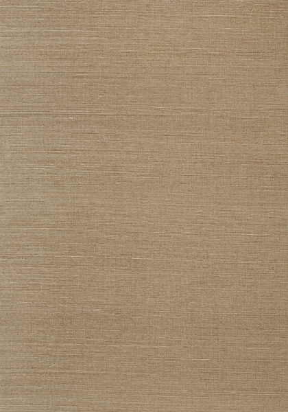 T41174 SHANG EXTRA FINE SISAL