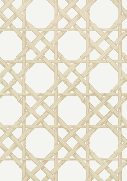 T13145 CYRUS CANE WALLPAPER