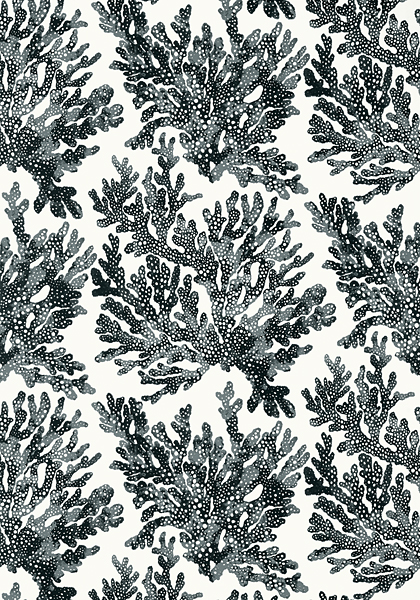 T10123 MARINE CORAL WALLPAPER