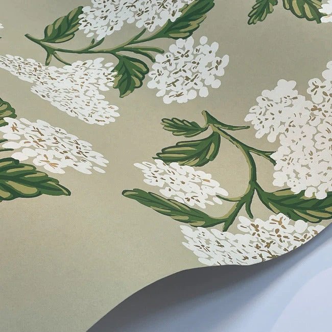 RP7394 HYDRANGEA WALLPAPER