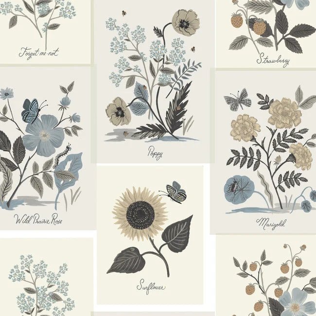 RP7336 BOTANICAL PRINTS WALLPAPER