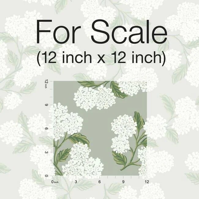 ri5144_scaleex_1_1_3ddfba0e-6ee2-4871-ac46-189c8a176884.jpg