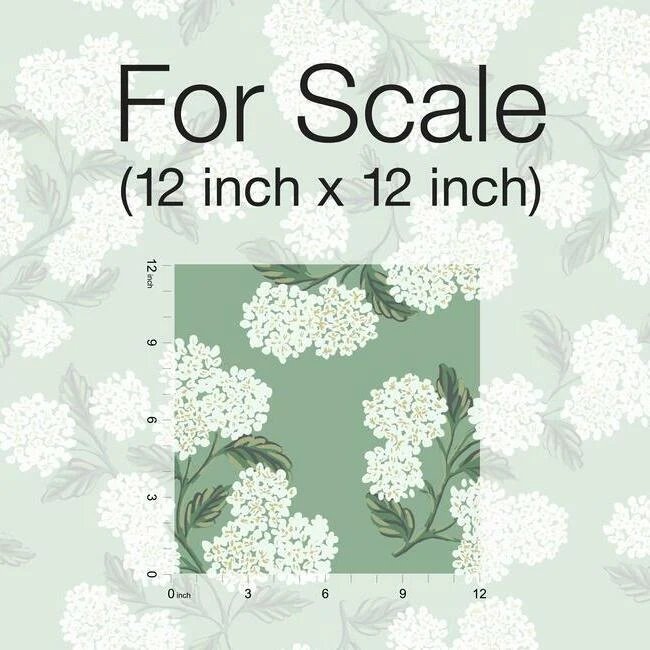 ri5145_scaleex_1_1_00a23059-13a7-4ab4-8ac9-0a52d0649d51.jpg