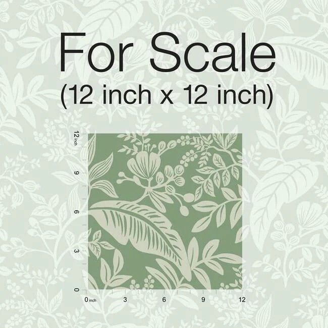 RI5140 CANOPY WALLPAPER