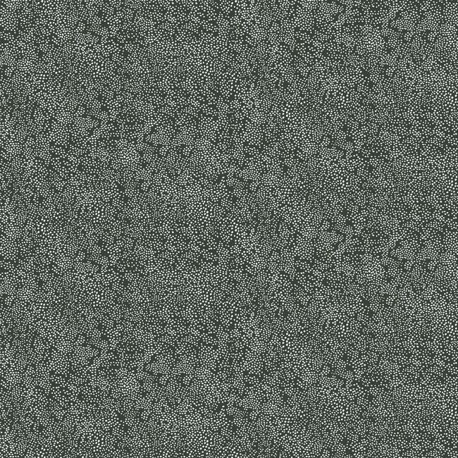 RI5111 CHAMPAGNE DOTS WALLPAPER